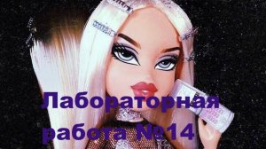 Лабораторная работа №14