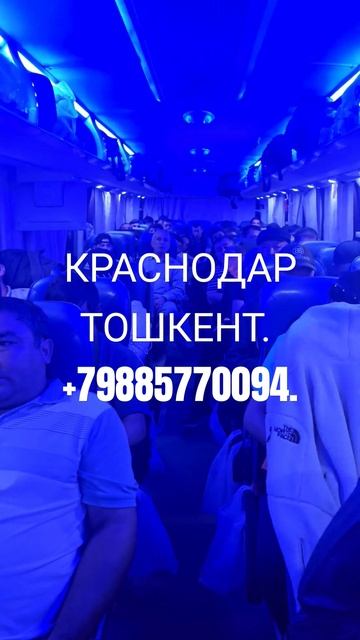 ПРЯМОЙ РЕЙС КРАСНОДАР ТОШКЕНТ смотреть онлайн