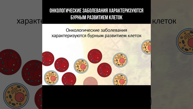 Онкологические заболевания характеризуются бурным р?