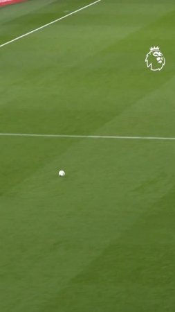 The Perfect Goal?