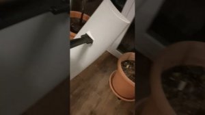 Ветряная турбина 2 #diy #альтернативная #энергия