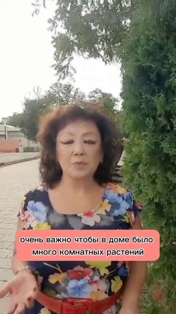 Основные рекомендации по феншуй #феншуй #благополучие смотреть онлайн