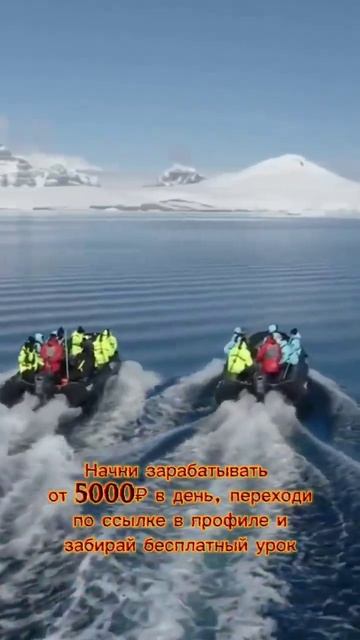 Это НОВАЯ онлайн-система заработка, которая подходит ? смотреть онлайн