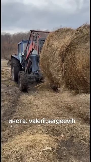 #деревня #рекомендации #рек #хозяйство Трудимся пока е? смотреть онлайн