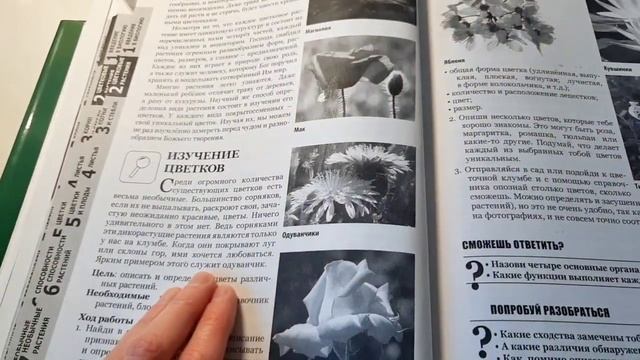 ГРУППЫ РАСТЕНИЙ/ЦВЕТКОВЫЕ РАСТЕНИЯ/РИСОВАЛА/ОПИСЫВАЛ смотреть онлайн