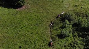 Ретрит "Очищение 5Д"