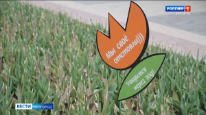 В Белгороде высадят более 600 тысяч однолетних цветов