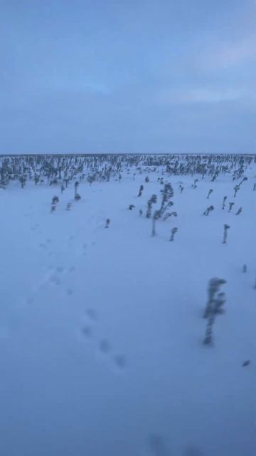 Yamaha Ventura #рыбаки #fishing #россия #рыбалка #russianfishing #саха #carp смотреть онлайн