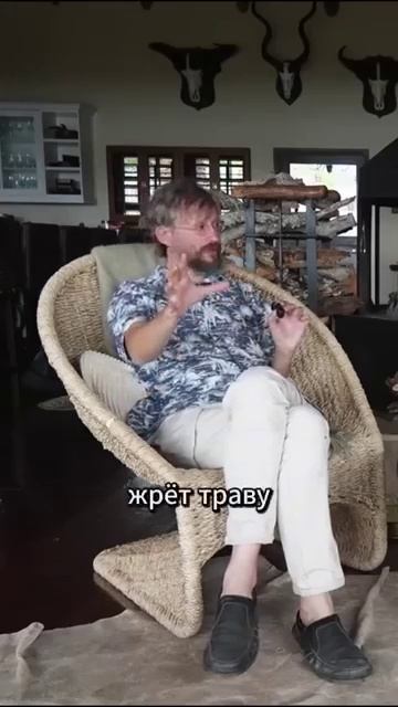 ,  ?