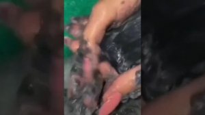 размокшее мыло + истории / истории и мыло / ТикТок истории 🐬💙