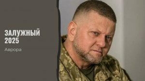 Залужный 2025 Террорист и экстремист