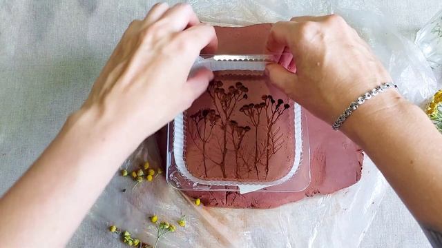 Барельеф из гипса с отпечатком растения ( пижма)