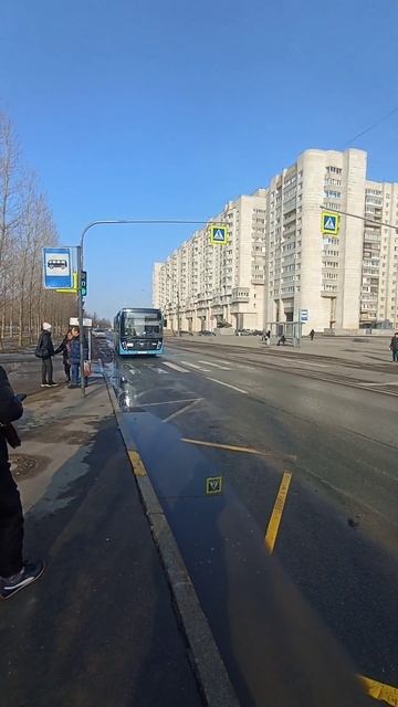 158 Автобус прибывает на остановку : площадь Балтфлота. смотреть онлайн