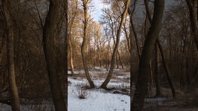 Приходящий с небес есть выше всех! Ему должно расти, а ? смотреть онлайн