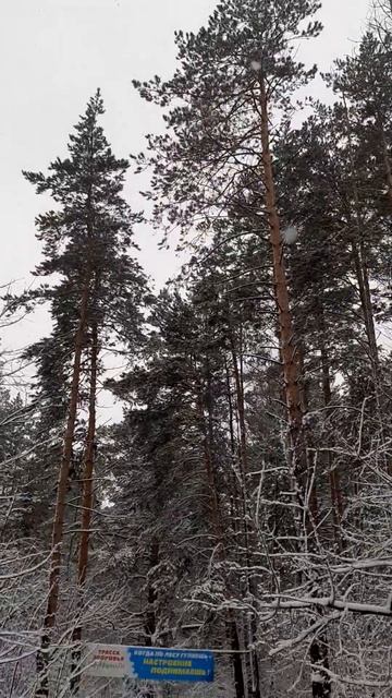 Вот и снежок! #НастроениеЗима# В каждом времени года ,е? смотреть онлайн