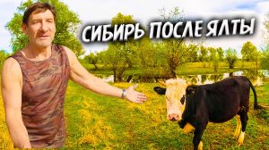 Первая прогулка после Ялты. Какие ощущения? У деревенских блогеров проблемы. Будет ли разлив реки?