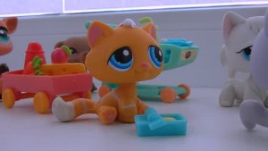 LPS: минутки из жизни (очередь в магазине)