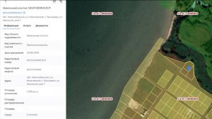 50 метров до моря Обского. В продаже великолепный участок 28 соток.