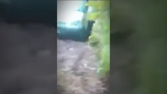 Каким должен быть сайт, если вы продаете услуги? смотреть онлайн