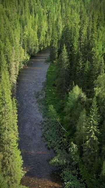 📍Yenisei Siberia. Krasnoyarsk Territory | 📍 Енисейская Сибирь, Красноя смотреть онлайн