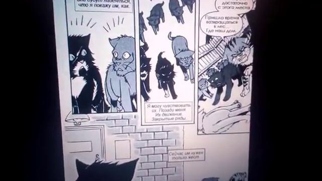 коты Воители озвучка манги "Бич:путь к власти!" 4 часть смотреть онлайн