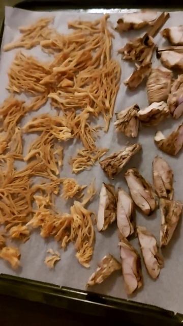 Сушка грибов Dry mushrooms Chanterelles Horned Umbrellas Hedgehogs and make a fly agar смотреть онлайн