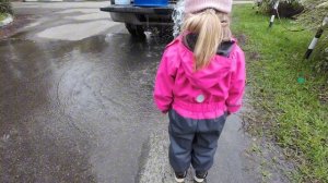 Белый Амур, Толстолобик, Карп. Доставка для клиента.