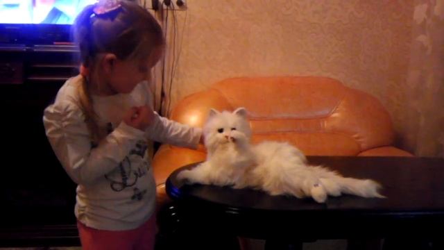 Кот Киборг смотреть онлайн