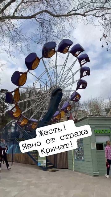 Орет от страха! Сочи!  #отдых #сочи  #сочиривьера