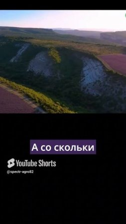 Как возрождается эфиромасличное производство в Крыму?