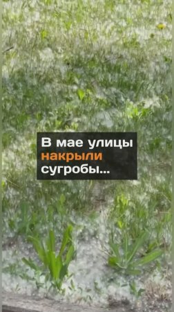 В мае улицы накрыли сугробы...