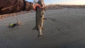 ЩУКА на ВОБЛЕР. Первая ЩУКА 2025-го.