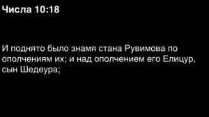 Числа, глава 10