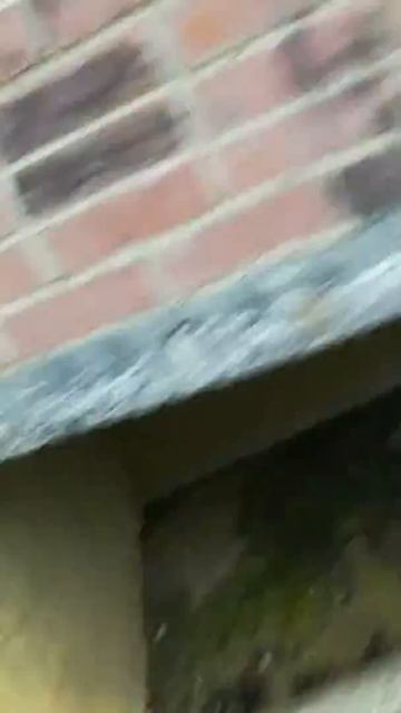 Насрали девки под крыльцо💩💩💩💩💩💩💩💩💩💩💩💩💩 смотреть онлайн