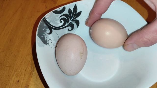 СКОЛЬКО ЯИЦ🤔ЦВЕТ ЖЕЛТКА ,ВЕС,СВЕЖЕСТЬ,ОПЛОД ЯИЦ❤