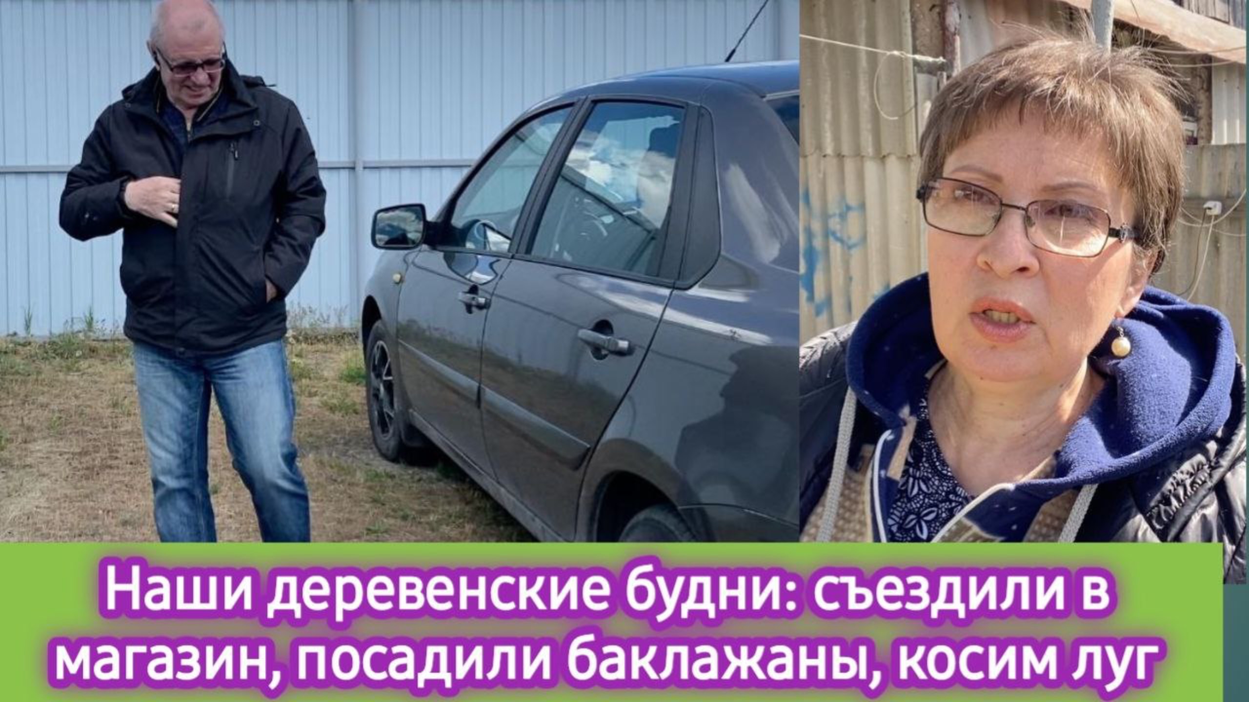 Наши деревенские будни: съездили в магазин, посадили баклажаны, косим луг
