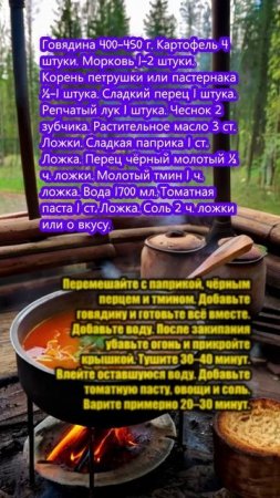 Венгерский суп с говядиной и овощами