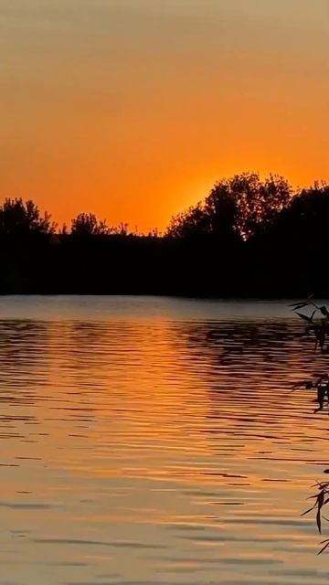 Очень важно поговорить и простить #любовь #стихи #душа смотреть онлайн