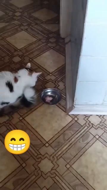 А поживать,что нибудь есть? #удивительныеистории #shortvid