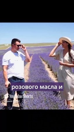 Лавандовые и розовые поля Крыма.