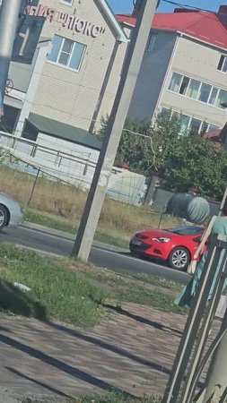 20 августа 2024 г.