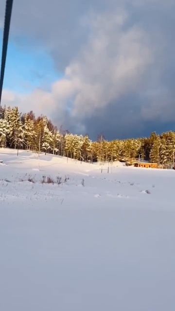 #Зиплайн над бухтой в Карелии смотреть онлайн