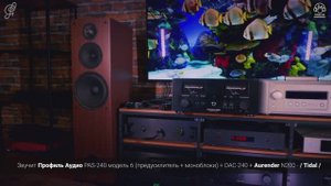Сравнение потоковых сервисов Qobuz, Tidal, Spotify на реальной системе. Профиль Аудио на максималке