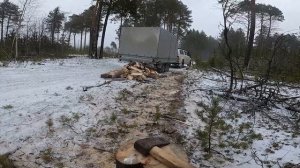 Заготовка дров в деревне/валежник/есть ли от него поль