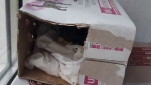 Моё утро с крысами🐀🐁. Очень смешное видео🤣