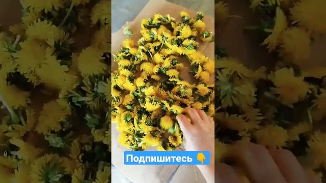 собираю одуванчики #одуванчик #рек #мотивация #деревня смотреть онлайн