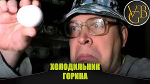Я и холодильник Горина