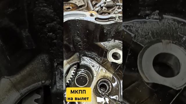 ремонт КПП астра Джи #авто #автосервис #жестьавтосерви смотреть онлайн