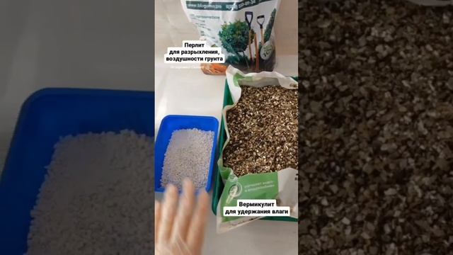 Что добавить в грунт? И зачем? смотреть онлайн