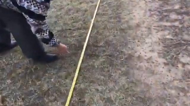 Прокопьева Уруйдаана. Метание мешочка с песком. Жабыл?